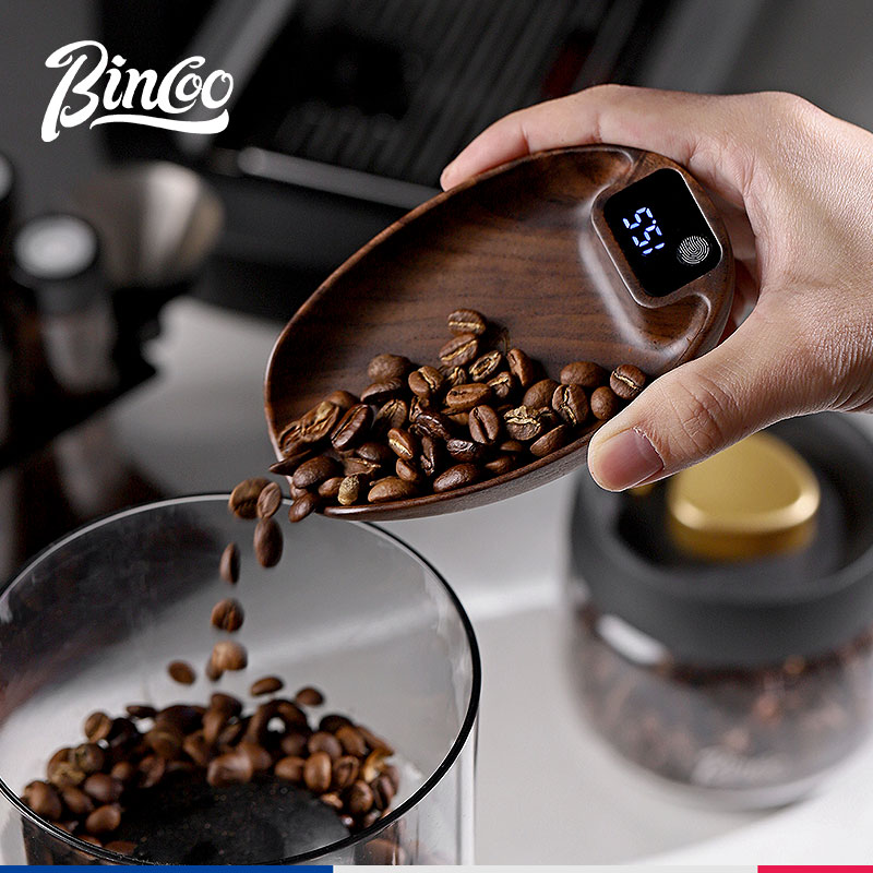Bincoo LED Intelligent Electro - Kitchen Scale Precise review and price