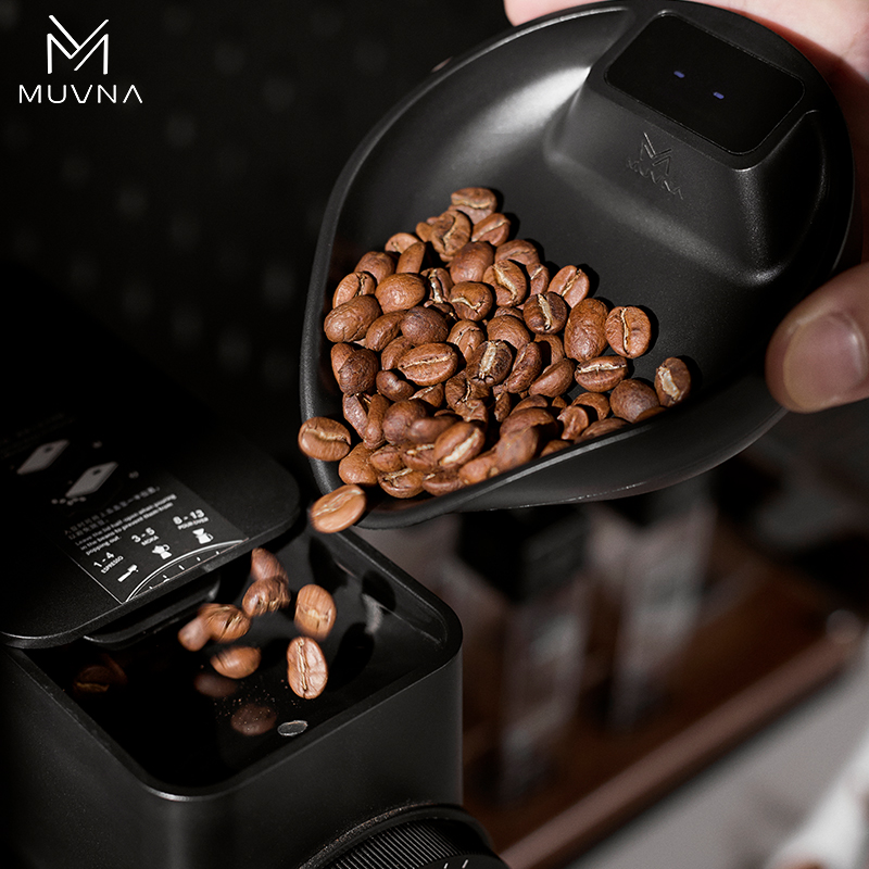 MUVNA Digital Coffee Bean Scal - Kitchen Scale Precise review and price