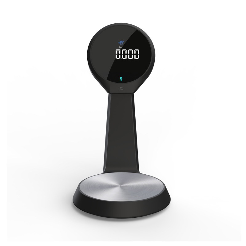 High Precision Digital Kitchen - Kitchen Scale Precise review and price